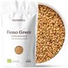 REPLANTEA Cuidamos tu Naturaleza SEMI DI FIENO GRECO BIO 200g (100 Tazze) | Tisana al Fieno Greco | 100% Semi Fieno Greco Trigonella foenum-graecum REPLANTEA