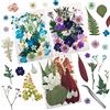 Cinvo 90 pezzi di veri fiori e foglie pressate, essiccate, petali di fiori naturali, essiccate, per candele, resina, gioielli, sapone, ciondoli per unghie, artigianato per telefono