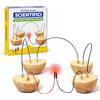 Generico Kit di Sperimentazione Elettrochimica, Set Dimostrativo Batteria a Frutta con LED, Esperimenti Elettricità con Sostanze Organiche, Apprendimento Energia Verde, Didattico per Studenti e Laboratorio