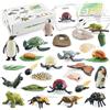 Generico Giocattoli per l apprendimento e educazione al ciclo vitale Montessori Kit di modelli artigianali figure animali la scienza della scuola materna Ideali sviluppare curiosità le conoscenze sul mondo nat