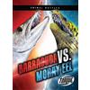 Kieran Downs Barracuda vs. Moray Eel (Tascabile) Animal Battles