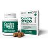 INNOVET CONDROSTRESS MOBILITY 60 CHEWS - SOSTITUISCE CONDROSTRESS+ COMPRESSE