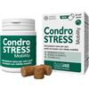 INNOVET CONDROSTRESS MOBILITY 30 CHEWS - SOSTITUISCE CONDROSTRESS+ COMPRESSE