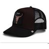Goorin Bros Cappello Berretto DEAD SKULL TRUCKER GROUND VOID Visiera Snapback