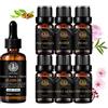 Aphrosmile 100% puro Jojoba Olio essenziale, Aromaterapia Peony Olio Essenziale Set con dell'olio dell'elemento portante per massaggi, 7x10ml 100% puro Pine Needles oli essenziali Set-ambra,Muschio Bianco Oli...