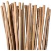 UNUS Canne di bambù, rampicanti, aste per piante in bambù, 120 cm, colore naturale, diverse lunghezze