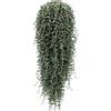 Generico Barba di Giove drosanterum in fiore 50 cm