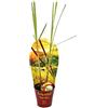 exotenherz Lemongrass, Cymbopogon citratus, 12cm Pot