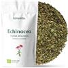 REPLANTEA Cuidamos tu Naturaleza Tisana Echinacea BIO (100g) | Infuso per l'Inverno dal Sapore Erbaceo | Taglio Tisana Sfuso per 50 Tazze | REPLANTEA