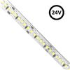 Strip Led 24v Luce Fredda 6000k 20W/Metro (Bobina 5Metri)