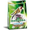 Generico CARDELLINO 3000 MANITOBA - alimento completo per uccelli, miscuglio di elevatissima qualità nutrizionale, ricco di semi "rinfrescanti", 1 confezione da 2,5kg.
