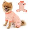 PAIDEFUL Camicia per cani in rete piqué, con anello al guinzaglio e gambe, tuta traspirante a 4 zampe per cani di piccola taglia, abbigliamento estivo leggero per gatti, pigiama per animali domestici