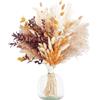 LIUYIDM 64 Pezzi Pampas Decorative Naturali Fiori Secchi Decorativi per Vaso Composizione Fiori Secchi Piume Decorative Rami Decorativi per Vaso Decorazioni Tavola Arredamento Bohémien