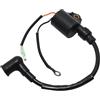 GPJTJROL for Tohatsu n/i/s/s/a/n 2 Tempi 3.5HP M3.5B2 M2.5A2 Motore for Barche 3F0-06153-01 3F0-06153-00 3F0061530M Bobina di Accensione