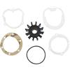 HTkdPEZe Accessori 24880190 Kit girante 0460038 Adatto for Motore 4236 M80 4107 4108 4.99M 4154 6354 e Pompa dell'Acqua 2488322 NA003428