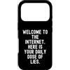 Culture Sarcastic Humor Witty Custodia per iPhone 17 Pro Benvenuti su Internet Sarcastico Uomini Donne