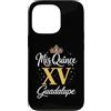 Mis Quince Guadalupe Tees Custodia per iPhone 13 Pro Mis Quince Guadalupe 15 Quinceanera Messicano Compleanno XV Divertimento