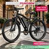 ROBORN Bicicletta elettrica da montagna per adulti ROBORN SUPER-G73-S 250W-PEAK500W 48V13Ah, completamente caricata, con un'autonomia di 45 chilometri, adatta per il pendolarismo quotidiano all'aperto,