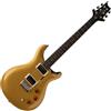 PRS SE DGT Gold Top (Moon Inlays) Chitarra elettrica signature David Grissom ...