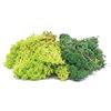 Hornby Lichen - Verde Mix