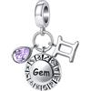 MiWangLing Ciondolo a forma di goccia con 12 segni zodiacali, per braccialetti Pandora, regalo di compleanno, Strass, Strass