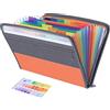 Fun storage Borse di File,13 Tasche Sacchetto Zip,Cartella Portadocumenti A4,Porta Documenti Espandibile,Faldoni Archivio Fisarmonica,Plastica,in tela,Bordo Fibra,Perfetto per Ufficio Scuola Viaggio (arancione)