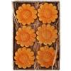 Pandecor Set 6 Girasoli in Terracotta 6 cm con calamita