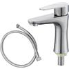 Vexaflow Rubinetto per Acqua Fredda in Acciaio Inox, Rubinetto Singolo per Acqua Fredda, con Tubo di Collegamento, Beccuccio Filtrante, Installazione Facile, per Bagno, Ospiti, WC, Bar, Cucina