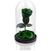 Aluisi Fiori - Rosa Stabilizzata Verde Senza LED- Rosa Eterna Stabilizzata - Rosa Stabilizzata Vera in Cupola di Vetro - Fiori Stabilizzati - Regalo per Mamma - Made in Italy
