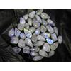 Aa+ Naturale 500 KT Pietra Lunare Arcobaleno Misto (Cabochon) Forma Loose Lotto