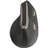 Yenkee Mouse verticale Yenkee YMS 5040 Senza fili con doppia batteria Nero [UMYENRBDMS5040B]