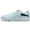 PUMA TEAMSPORT Puma Future 9 Play TT