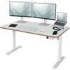 Leitz Ergo Scrivania Elettrica Regolabile 140x80cm - promemoria intelligente per alzarsi, Preset di memoria programmabili, USB-C/USB-A Integrati (Spina EU)
