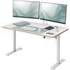 Leitz Ergo Scrivania Elettrica Compatta Regolabile 120x70cm - promemoria intelligente per alzarsi, Preset di memoria programmabili, USB-C/USB-A Integrati (Spina EU)