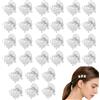 Esshogo 30 piccoli fermagli per capelli, in plastica, piccoli fermagli per capelli, 1,5 cm, per ragazze e donne, per tutti i giorni, feste, Natale, festival trasparente