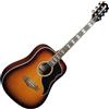 EKO Ranger VI VR EQ Honey Burst Chitarra Acustica Elettrificata Dreadnought H...