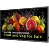 Philips 55 MONITOR UHD 24/7 500 NITS 55BDL5050D/00