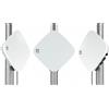 Extreme networks Wireless Access Point White AP460C-WR
