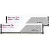 G.Skill G.Skill Ripjaws S5 F5-5200J4040A24GX2-RS5W memoria 48 GB 2 x 24 GB DDR5 5200 MHz F5-5200J4040A24GX2-RS5W