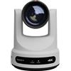 PTZOptics PTZOptics Link 4K 12X Zoom White with Dante AV-H PT12X-LINK-4K-WH PT12X-LINK-4K-WH