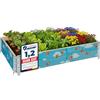 Garronda Orto Rialzato da Esterno con Stampa - Cassoni Orto Decorativi, Aiuola Rialzata in Legno 120x80x20 cm per Piante, Fiori, Erbe, Frutta e Verdura GD-0075 (Ape con sfondo, 1 pz)