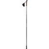 Ferrino Horn 120 cm bastoncini da nordic walking coppia