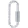 Petzl Go Ø8 mm maglia rapida zincata