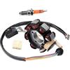 HXVGEGKPYK Generatore Statore Per CG 200 150 125 250cc Accessori Moto Fuoristrada ATV Spiaggia Motore Magneto Bobina Statore Parte Statores