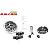 Malossi VARIATORE MULTIVAR 2000 HONDA SH i ABS 125/150 2024 2025 2026 MALOSSI