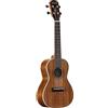 Alvarez RU90CP Regent Concert Ukulele Pack Ukulele Concerto con Borsa e Accor...