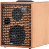 ACUS One ForStreet 5 Wood Amplificatore a Batteria per Chitarra Acustica 40W