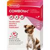 Beaphar - Combotec Cane Piccolo 2-10 Kg - Unità di vendita: 1 Confezione | 3 Pipette