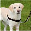 Trixie Pettorina Easy Walk Professional