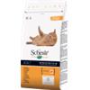 Schesir Cat Adult con Pollo - 400 g
